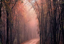 威能热水器服务电话快速解决维修问题