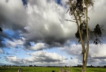 威能热水器服务电话快速解决维修问题